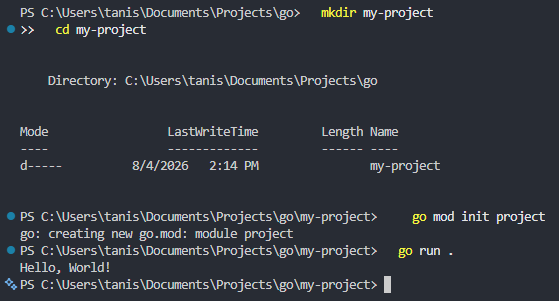 Project setup and ran.